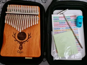 تجریه خرید کالیمبا سگا مدل CKc00-C