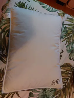 بالش اکسون مدل پر CONTINENTAL