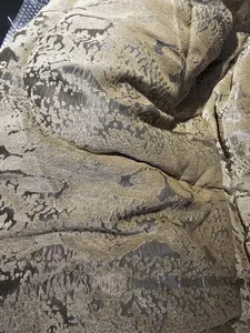 تجریه خرید سرویس روتختی نوپه هوم مدل مخمل شانل طلاکوب پوست ماری EOCM دو نفره 8 تکه