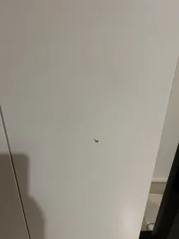 کمد لباس مدل 5479