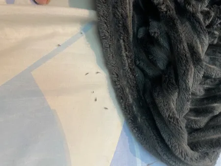 پتو مسافرتی مدل پلیسه سایز 200x220 سانتی متر