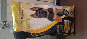 تجریه خرید غذای خشک سگ مفید مدل پاپی کد 011 وزن 5 کیلوگرم