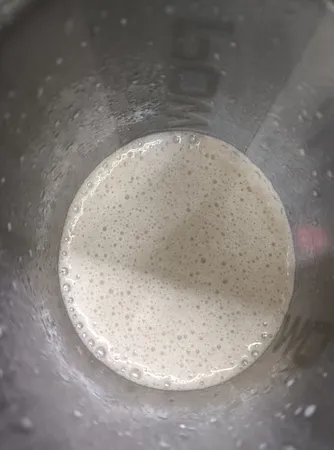 پودر گین آپ با طعم شكلات كارن - 1800گرم