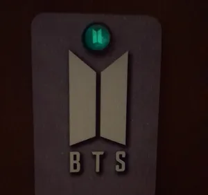 تجریه خرید پیرسینگ گوش ناکسیگو مدل شب تاب کد PM6972