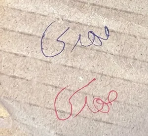 تجریه خرید خودکار سلنا کد 40 بسته 50 عددی