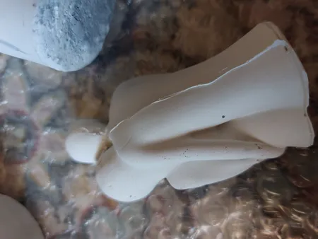 دکوری مدل ست رومیزی مجموعه 8 عددی