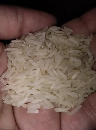 برنج ایرانی طارم فجر - 10 کیلوگرم