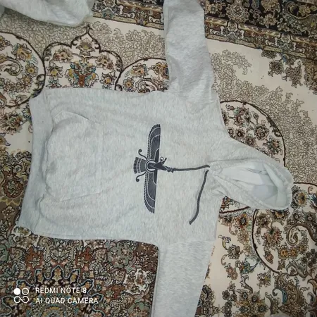 هودی مردانه کد 01 رنگ طوسی