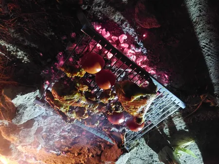 منقل سفری کد 111