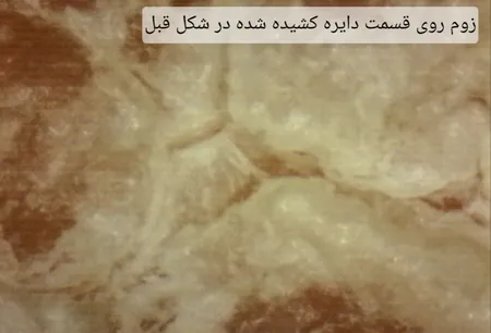 میکروسکوپ دیجیتال مدل 1000X