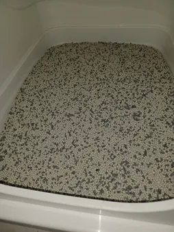 خاک بستر گربه میوکت مدل Carbon Activated Granule وزن ۱۰ کیلو گرم