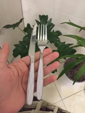 تجریه خرید ست کارد و چنگال میوه خوری 12 پارچه دالتون کد 5647