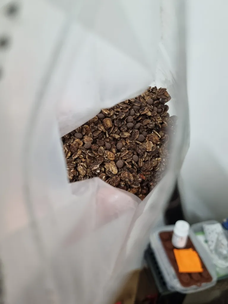 گرانولا شکلاتی فام لند - 500 گرم