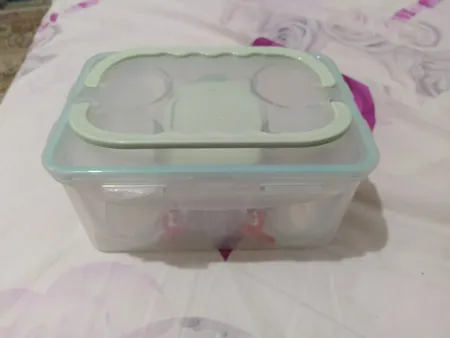 ست پیک نیک لیمون مدل 4 نفره کد 1783