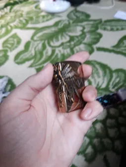 فندک مدل آمازون