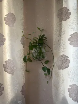 گلدان دکوری مدل دیواری شیشه ای مجموعه 2 عددی