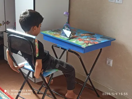 میز تحریر و صندلی طرح سگ های نگهبان