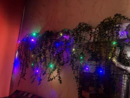 ریسه ال ای دی طرح برگ طول 5 متر