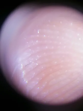 میکروسکوپ جیبی مدل 9592