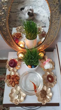 مجموعه ظروف هفت سین 6 پارچه مدل گلبرگ