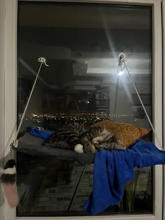 مکنده آفتابگیر خودرو مدل s4 بسته 6 عددی