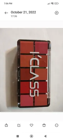 پالت رژ لب دی سل شماره 02