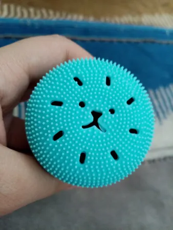 برس پاک‌سازی مدل B 0101