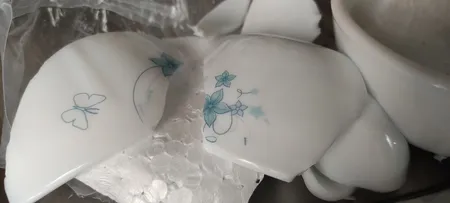 سرویس 25 پارچه آیروپال طرح دایره مدل رکسانا ورژن 2