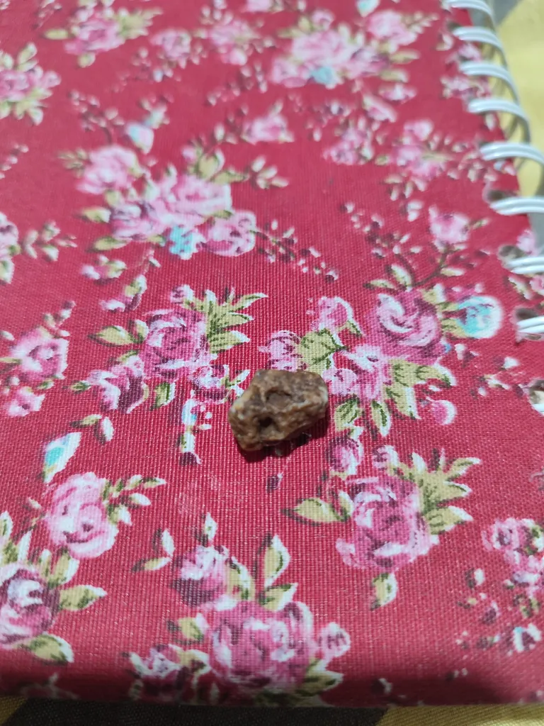 کشمش پلویی ممتاز سرمد - 500 گرم بسته 2 عددی