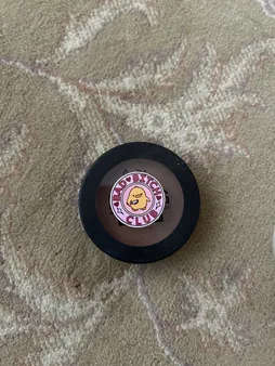 رژ گونه آنیکا مدل B شماره 08