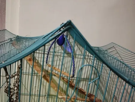 سر والف لاستیک دوچرخه هارمن مدل بدون باتری SKULL203 بسته 4 عددی