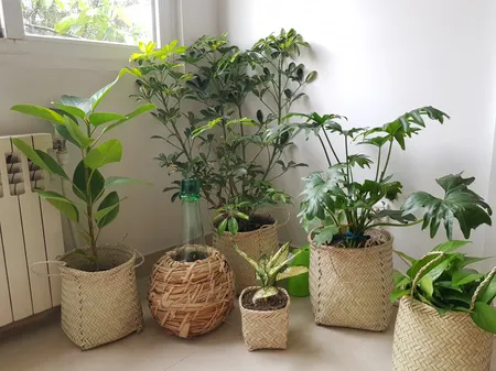 سبد حصیری مدل استوانه17-27 بسته سه عددی