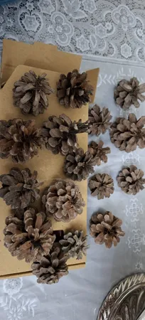 میوه تزیینی مدل میوه درخت کاج کد GB 015 بسته 15 عددی