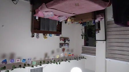 شلف دیواری مدل طاووس