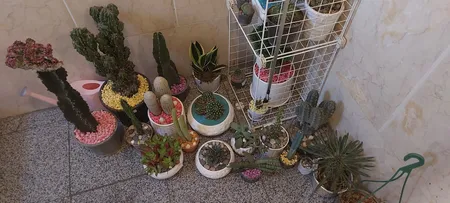 شن تزیینی آکواریوم مدل SAND-05 وزن 1 کیلوگرم