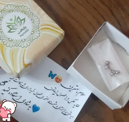 پیرسینگ گوش زنانه کد PS534 بسته 2 عددی