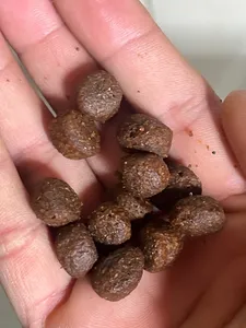 تجریه خرید غذا خشک سگ مفید مدل guard4 وزن 4 کیلوگرم