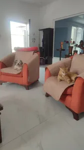 تجریه خرید کاور مبل 7 نفره پوشپاک کاور مدل Fabric 7-160