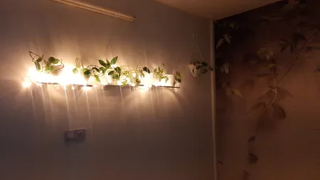 شلف دیواری مدل B40s