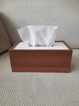 جادستمال کاغذی رایکا مدل HM1374