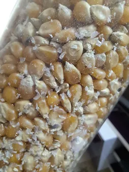 ذرت پاپ کرن ممتاز سرمد - 650 گرم