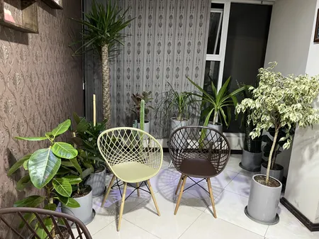 صندلی بنیزان مدل بامبو کد BM500