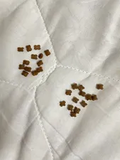 تجریه خرید غذای خشک گربه رفلکس مدل مادر و بچه وزن 1.5 کیلوگرم