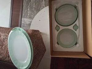 تجریه خرید سرویس غذاخوری 29 پارچه چینی زرین ایران سری نئوکلاسیک مدل پاستل درجه عالی