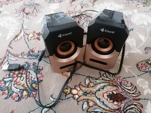 تجریه خرید اسپیکر دسکتاپ کیسونلی مدل A-606