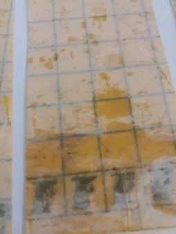 چسب حشره کش کد 200 بسته 10 عددی