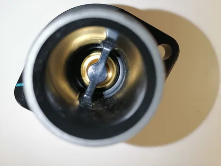 ترموستات ورنت مدل 89.H6488 مناسب برای رانا