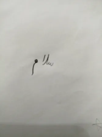 پاکن برقی تیهو مدل TC8302