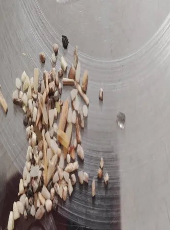 برنج نیم دانه دودی نسل نورانی - 1 کیلوگرم