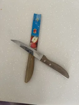 چاقو آشپزخانه فنگ اند فنگ مدل دسته چوبی کد 2002